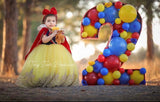 Snow White Vintage Gown