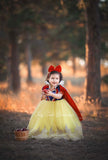 Snow White Vintage Gown