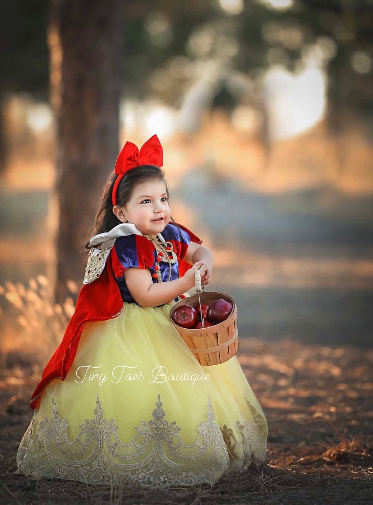 Snow White Vintage Gown