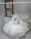 A White Dream Gown