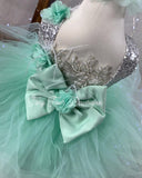 Jane Dress (Mint Green)