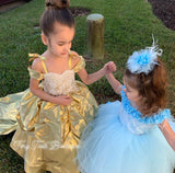 Princess Belle Inspired Gown